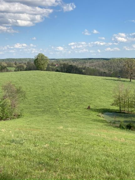 Property for sale in Madison County, Arkansas