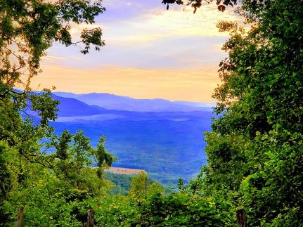 Property for sale in Wilkes County, North Carolina