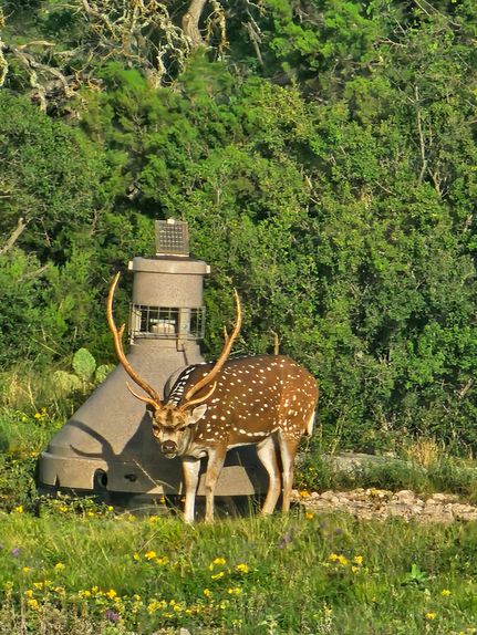 Ranch Property for sale in Edwards County, Texas