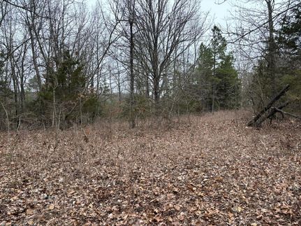 Hunting Land for sale in Marion County, Arkansas