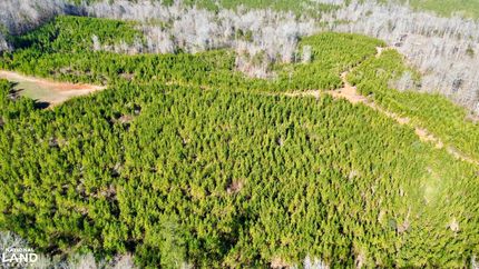 Property in Choctaw County, Alabama