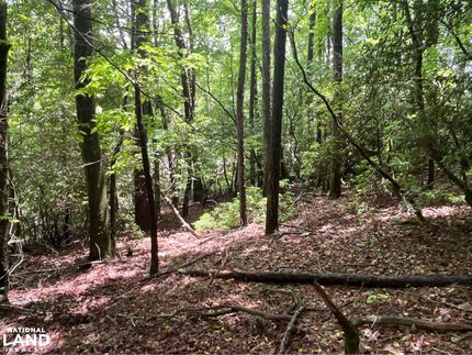 Property in Transylvania County, North Carolina