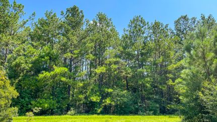 Property in Newton County, Texas