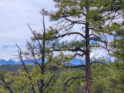 Property for sale in Las Animas County, Colorado