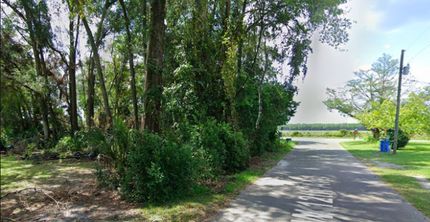 Undeveloped Land for sale in Levy County, Florida