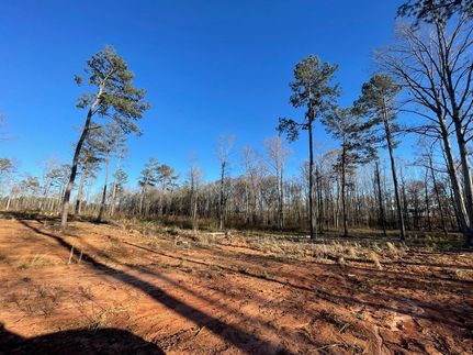 Property for sale in Monroe County, Georgia