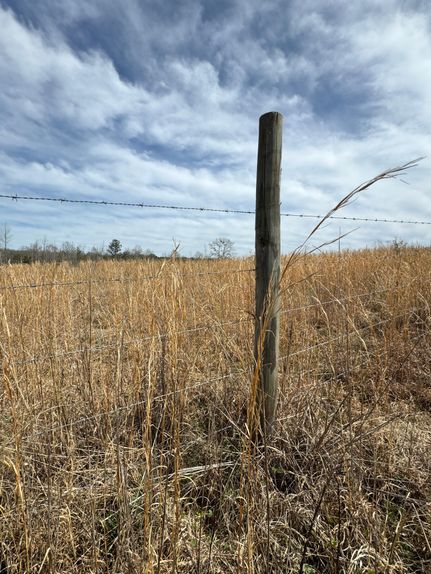 Property in Marion County, Alabama