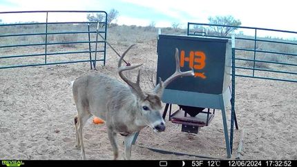 Property for sale in Donley County, Texas