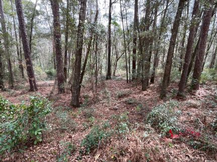 Property for sale in Baldwin County, Alabama