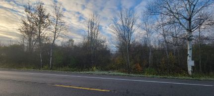 Undeveloped Land for sale in Oswego County, New York