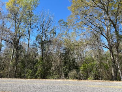 Property for sale in Pike County, Alabama