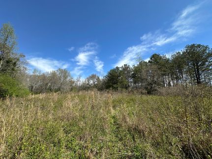 Property for sale in Pike County, Alabama