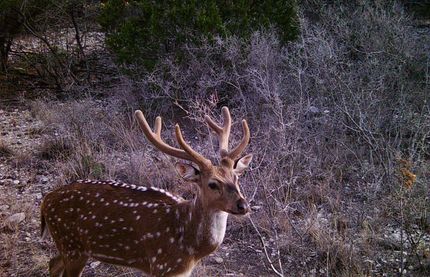 Recreational Property for sale in Edwards County, Texas