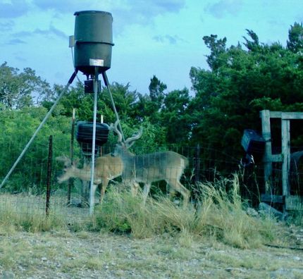 Property for sale in Edwards County, Texas