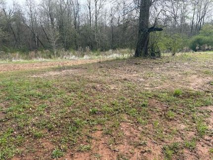 Property for sale in Pike County, Alabama