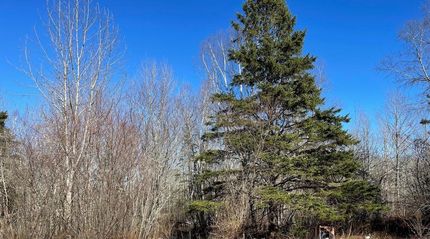 Property in Washington County, Maine