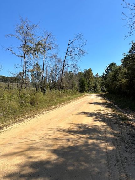 Property in Covington County, Alabama
