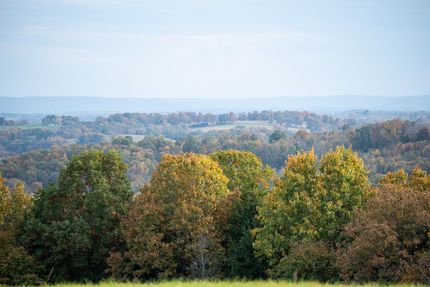 Property for sale in Carroll County, Arkansas