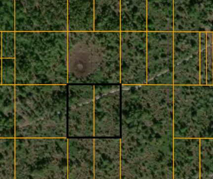 Hunting Land for sale in Polk County, Florida