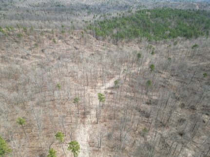 Hunting Land for sale in Madison County, Missouri