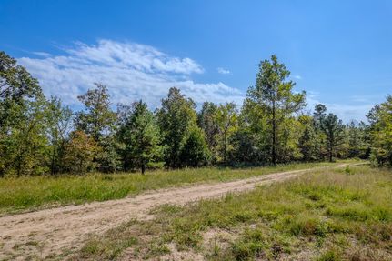 Hunting Land for sale in Madison County, Missouri