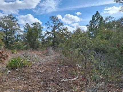 Property in Levy County, Florida