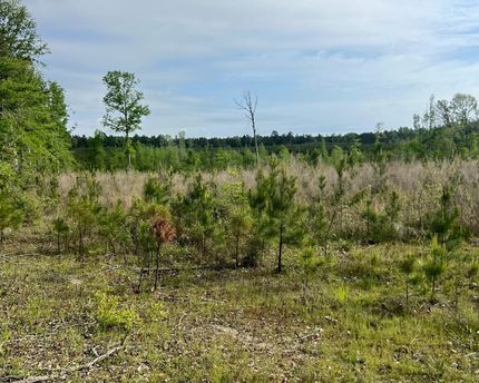 Property for sale in Jackson Parish, Louisiana