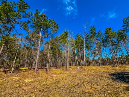 Property for sale in Cherokee County, Texas