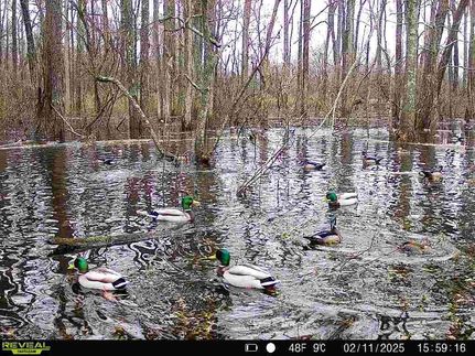 Property for sale in Phillips County, Arkansas