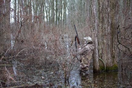 Property for sale in Phillips County, Arkansas