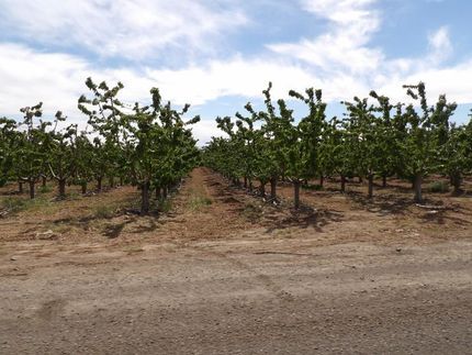 Property for sale in Yakima County, Washington