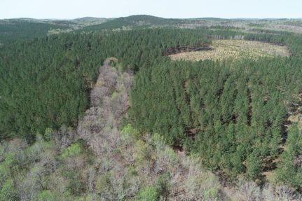 Property for sale in Clay County, Alabama