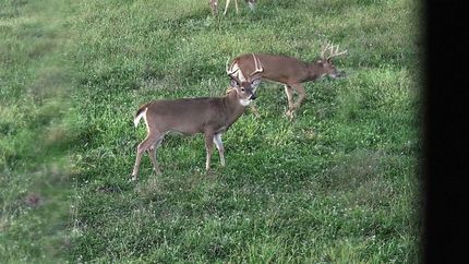 Property in Ralls County, Missouri