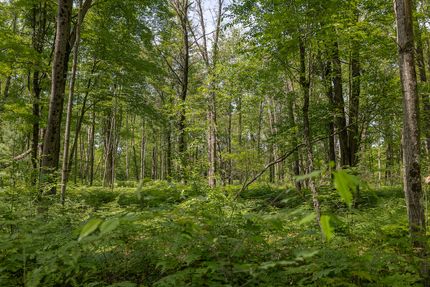 Property for sale in Newaygo County, Michigan