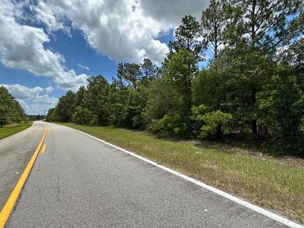 Undeveloped Land for sale in Burke County, Georgia