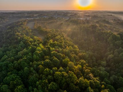 Timberland Property for sale in Cheatham County, Tennessee