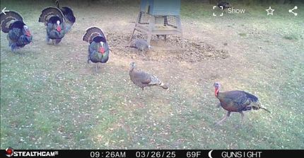 Property for sale in Stephens County, Texas