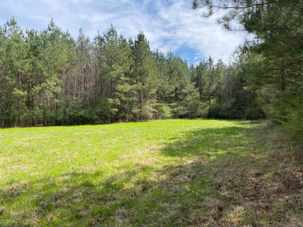 Property for sale in Newton County, Mississippi