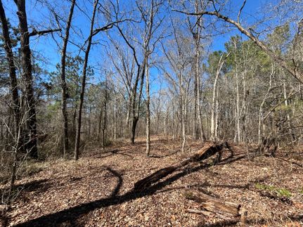 Property for sale in Bladen County, North Carolina