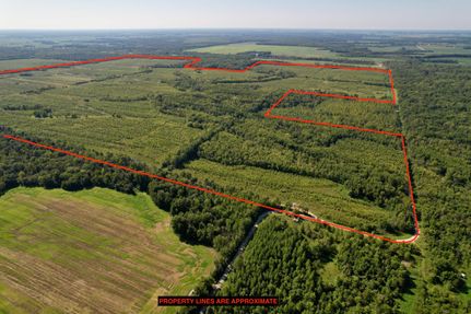 Property for sale in Clay County, Illinois