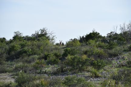 Property for sale in Crockett County, Texas