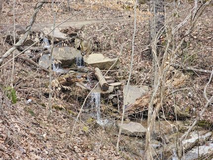 Hunting Land for sale in Summers County, West Virginia