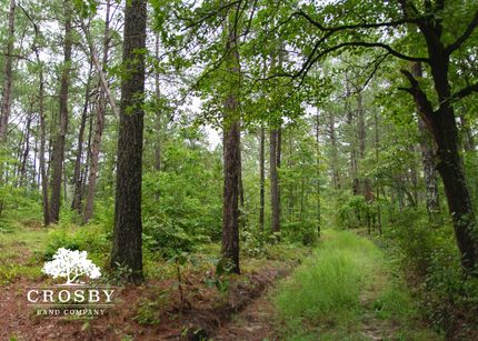 Property in Chesterfield County, South Carolina