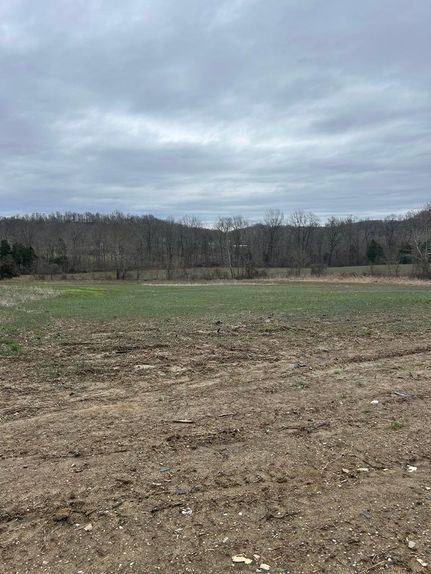 Property for sale in Lewis County, Kentucky