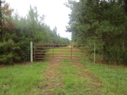 Property for sale in Walthall County, Mississippi