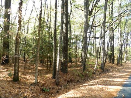 Property in Northampton County, Virginia