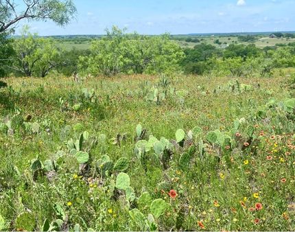 Property for sale in Comanche County, Texas