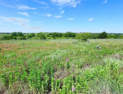 Undeveloped Land for sale in Comanche County, Texas