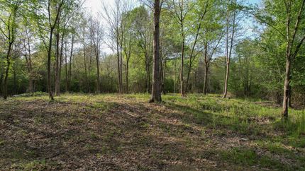 Property for sale in Bowie County, Texas