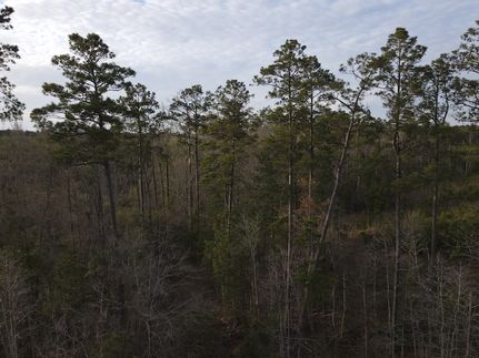 Property for sale in Ouachita County, Arkansas